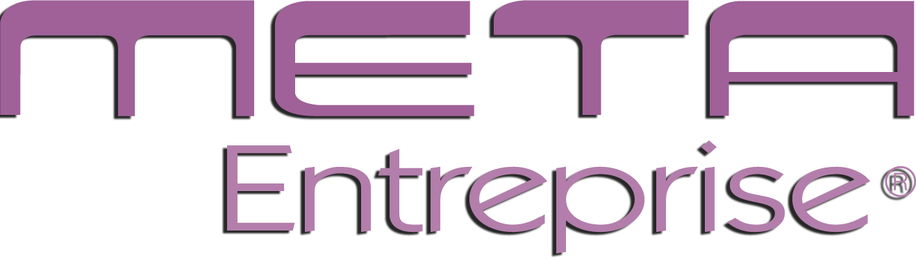 Meta Entreprise